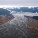 The Stikine River Delta, as seen from the air. (Ed Schoenfeld, CoastAlaska News.)