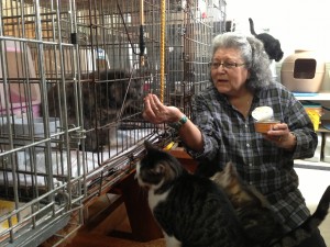 Dolores Klinke feeds cats in her garage at St. Frances Animal Rescue - Photo by Shady Grove Oliver/KSTK